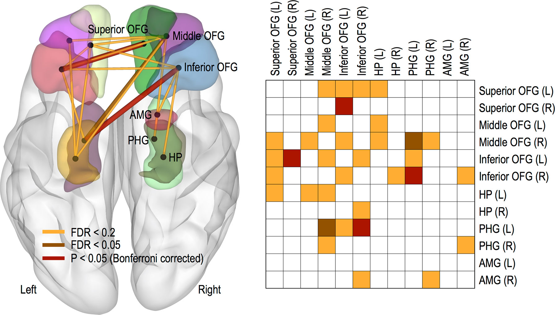 Psychological Resilience Enhances the Orbitofrontal Network in the Elderly With Mild Cognitive Impairment